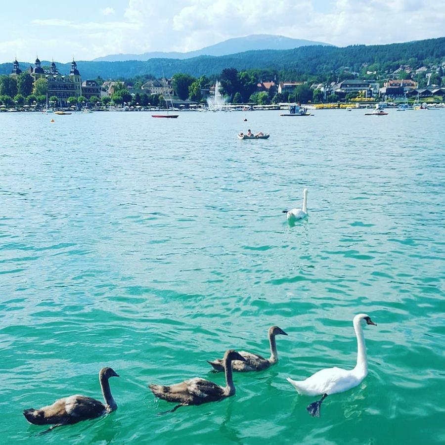 Superior-Apartment Mit Pool Und Seezugang Velden am Wörthersee Esterno foto